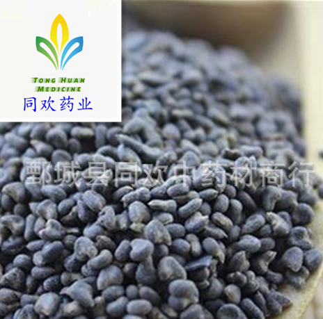 QQ截图20191209211228.png