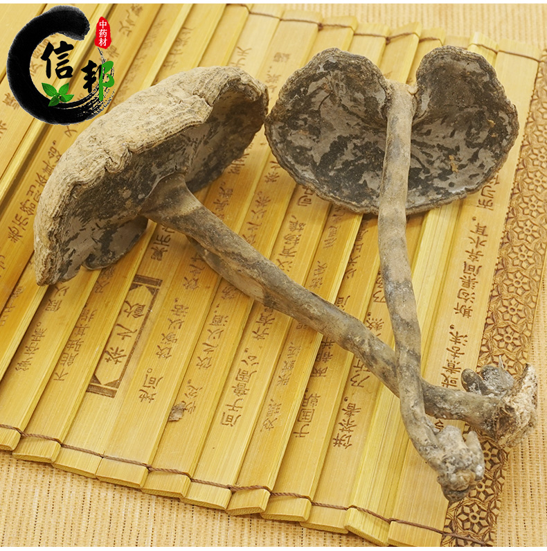 雪灵芝_05.jpg