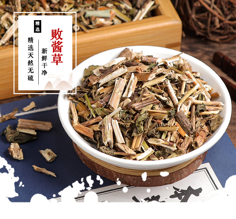 败酱草_01.jpg