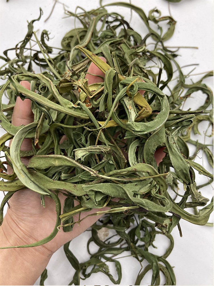 化石草_02.jpg