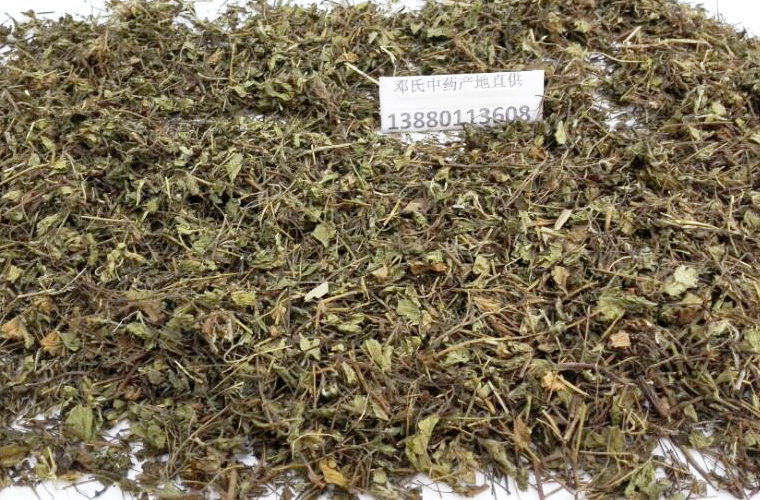 wupicaoal015.jpg