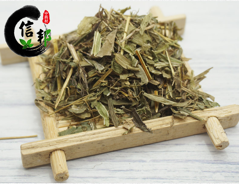 凤尾草详情7.jpg
