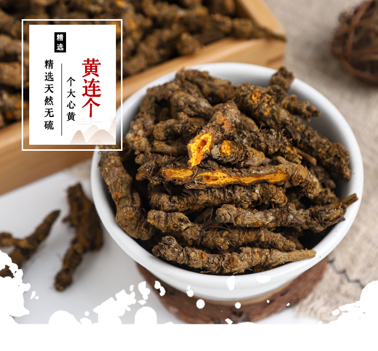 黄连个 (1).jpg