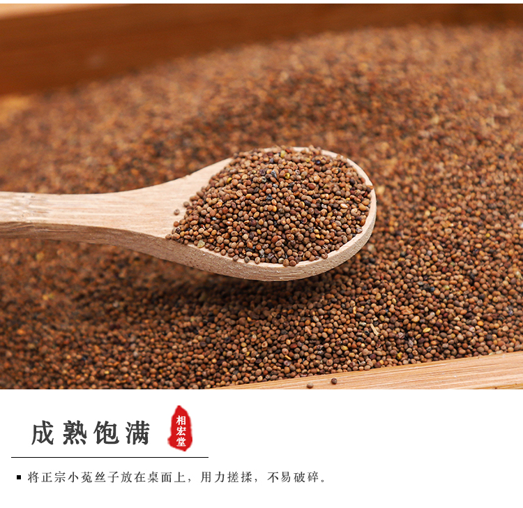 内蒙菟丝子_05.jpg