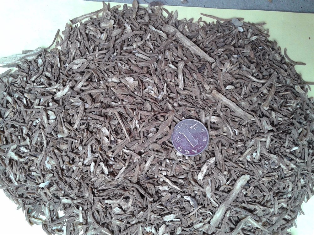 20150707_081504.jpg