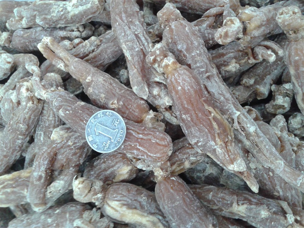 wKhQr1MxtjOEWhl7AAAAAELpa70984.jpg