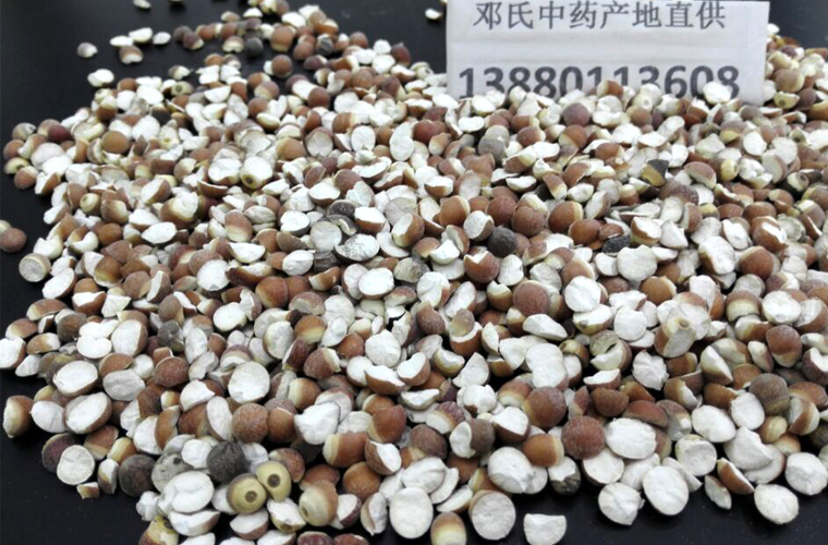 qianshidatongal010.jpg
