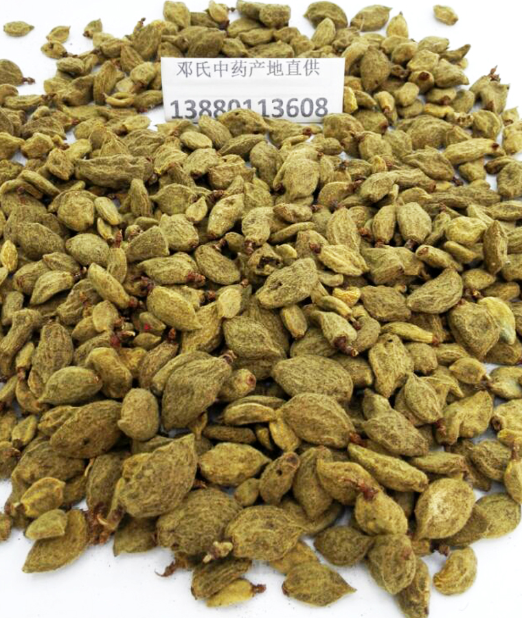 bitaoganal08.jpg