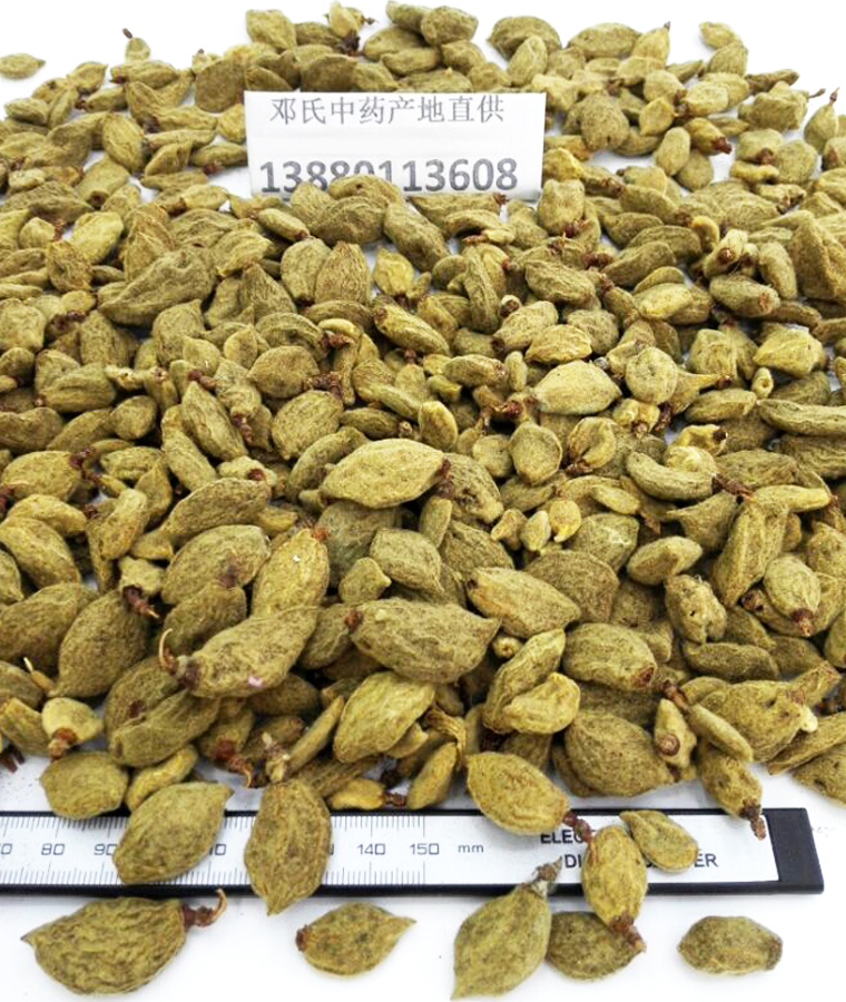 bitaoganal09.jpg