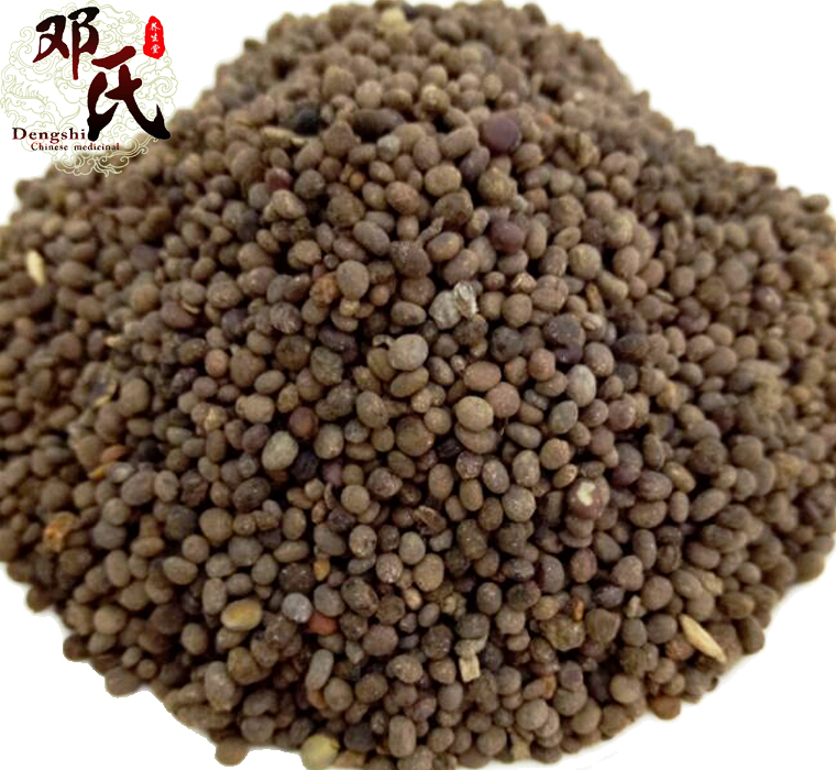 jixingzial010.jpg