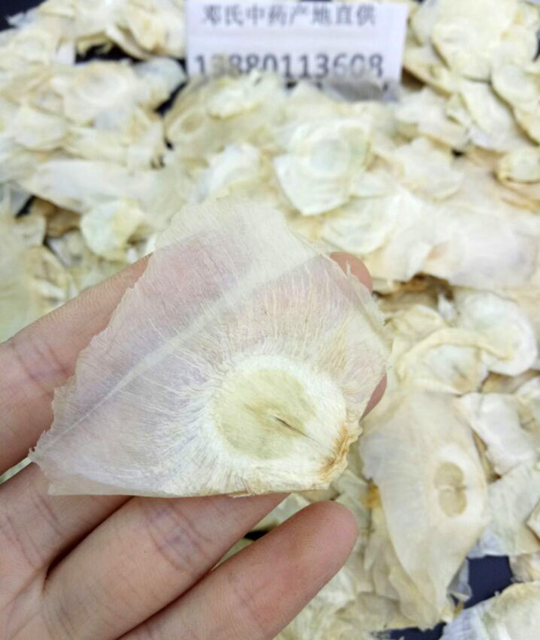 muhudieal011.jpg