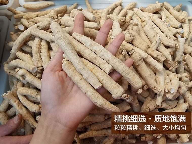 吉林15克条_13.jpg