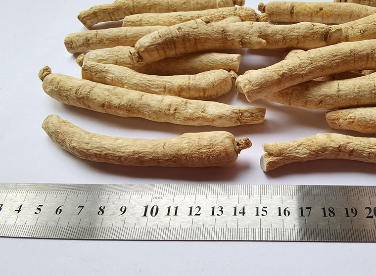 吉林15克条_12.jpg