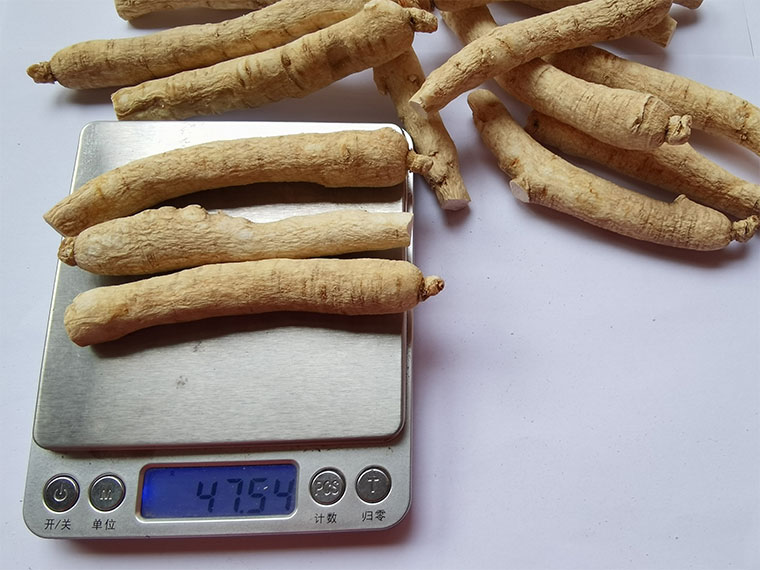 吉林15克条_08.jpg