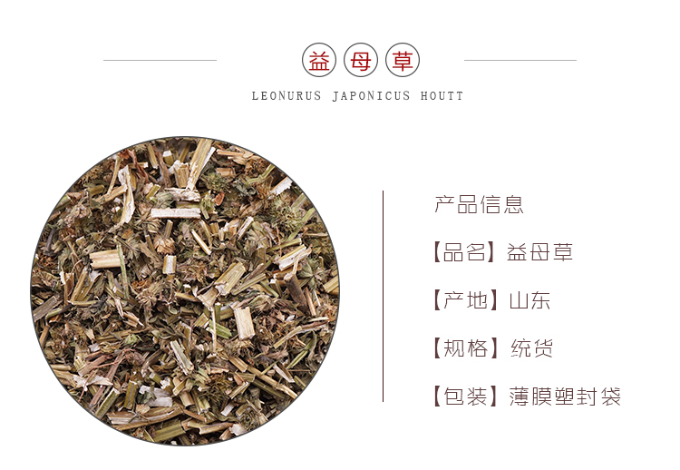 益母草_01.jpg
