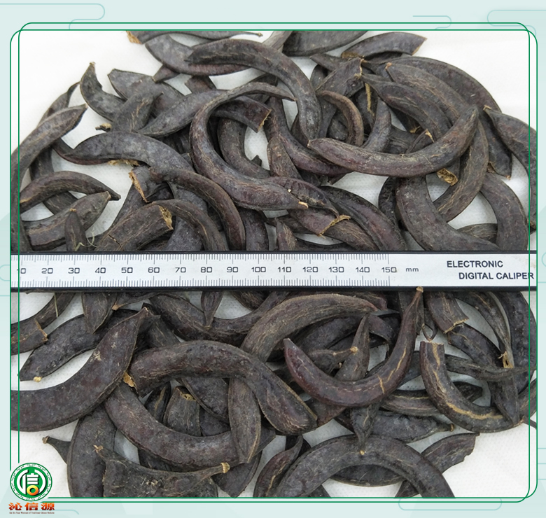 zhuyazaotongge08.jpg