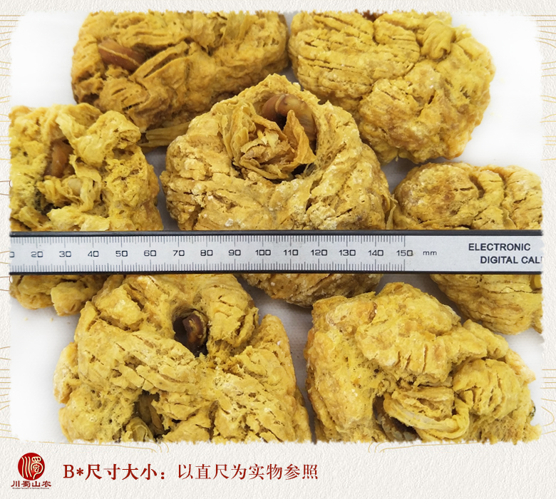 cstcssnzihechewuxuequangan010.jpg