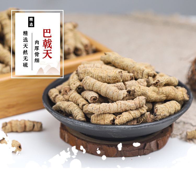 巴戟天 (1).jpg