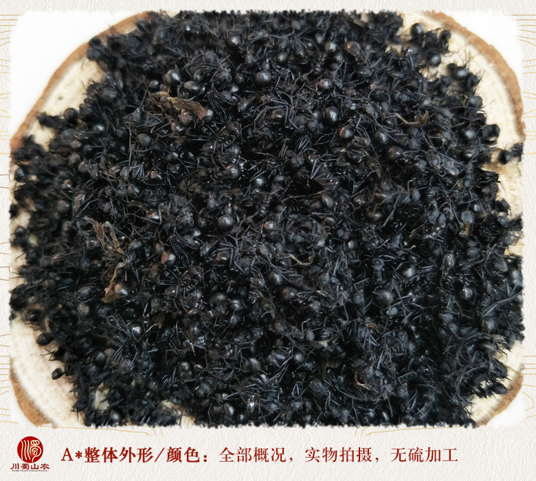 cstcssnheimayixiaoge08.jpg