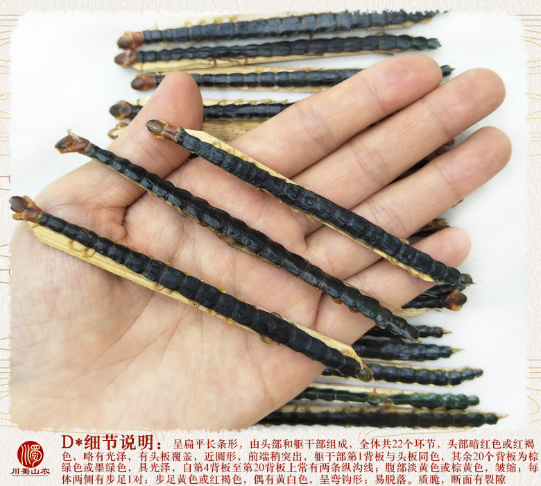 cstcssnwugong8zhi10daizhupian011.jpg
