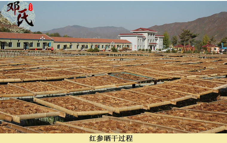 hongda022.jpg
