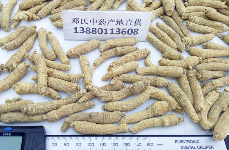 shandongxiyangshen25keduanzhi016.jpg