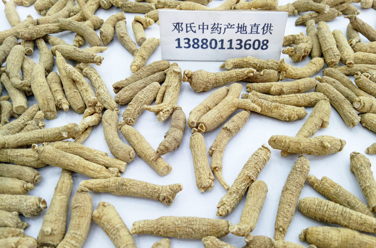 shandongxiyangshen25keduanzhi017.jpg