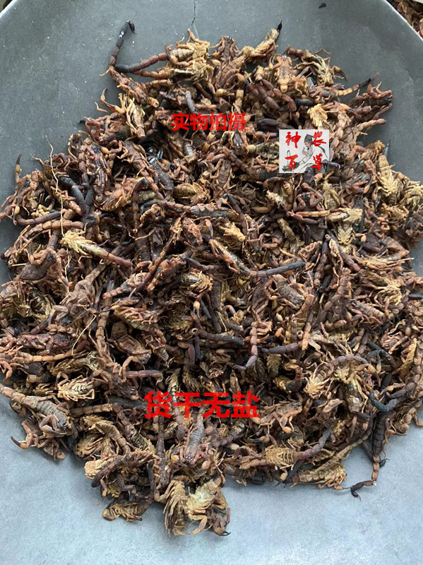 蝎子9.jpg