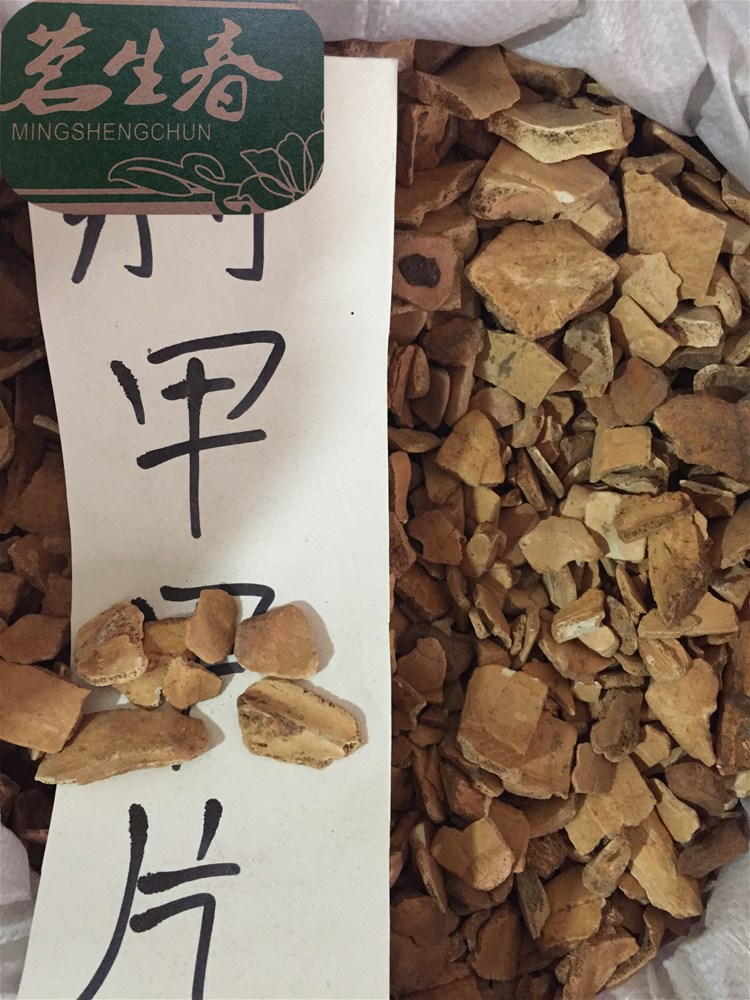 别甲甲片.jpg