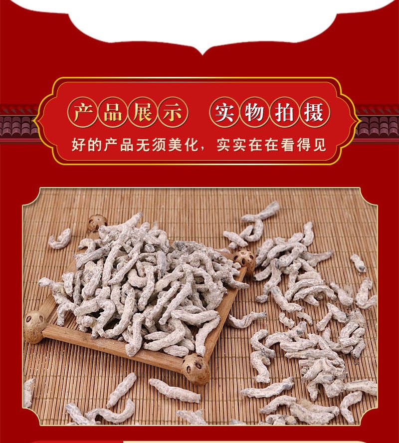 僵蚕12.jpg