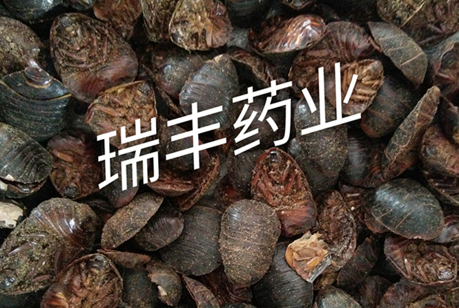 IMG_20161011_134044_mh1476165910877_副本.jpg