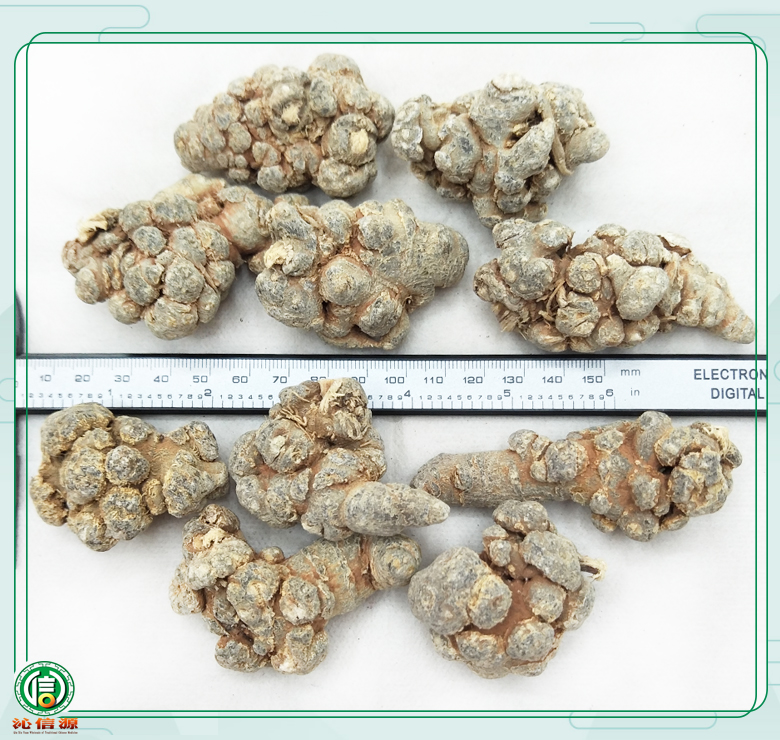 shuixisanqi20tou08.jpg