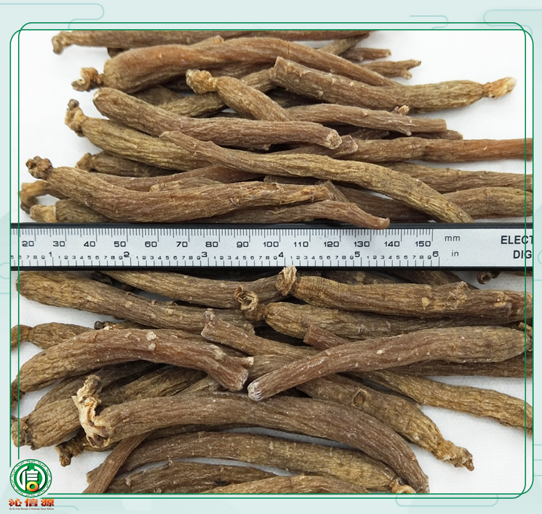 wuxuhongshen60zhihuan08.jpg