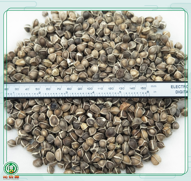 lamuzixiaolixuan08.jpg