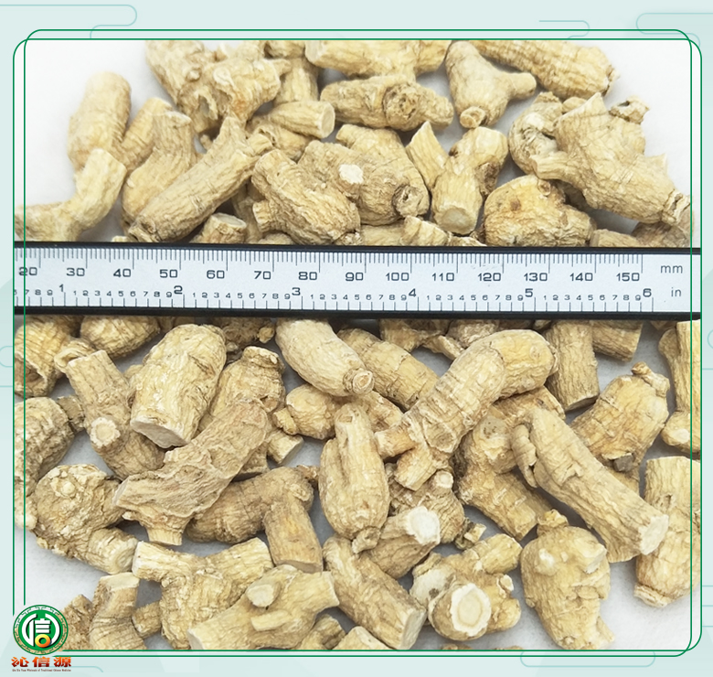 xiyangshenlitoupingjun4kezuoyou08.jpg