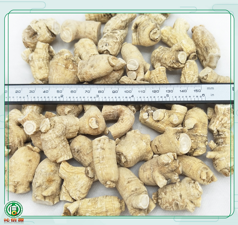 xiyangshenlitoupingjun8kezuoyou08.jpg