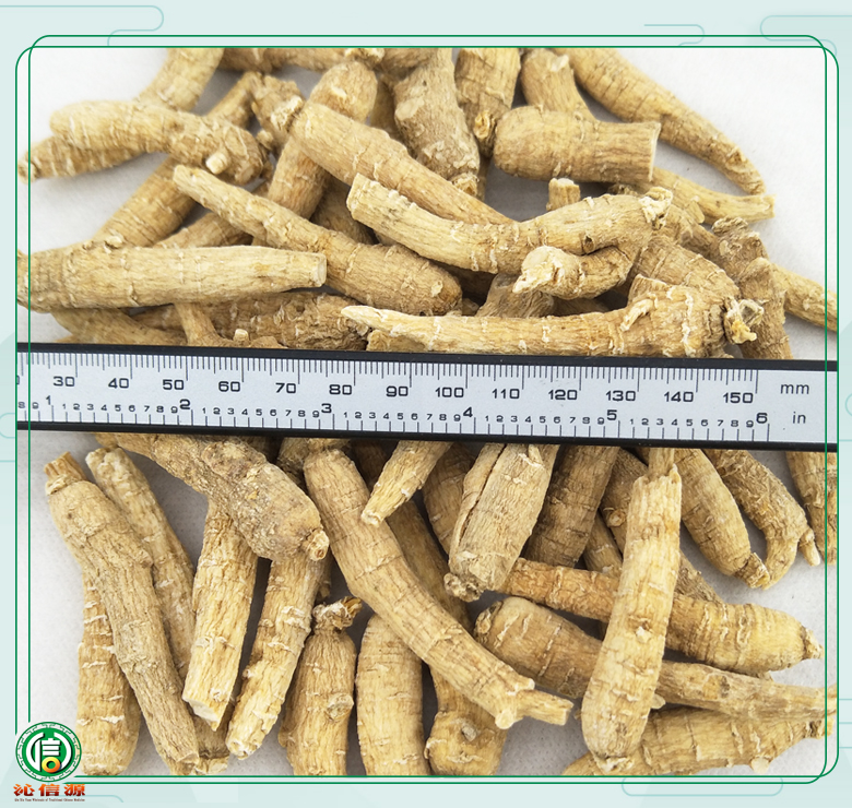 shandongxiyangshen5ketiao08.jpg