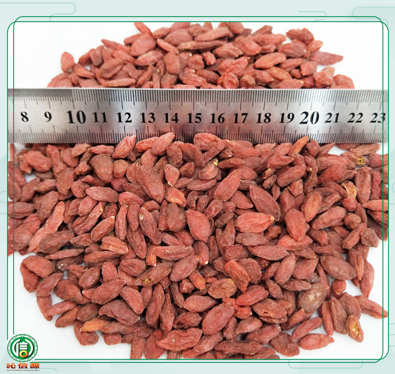 ningxiagouqi280lixuan08.jpg