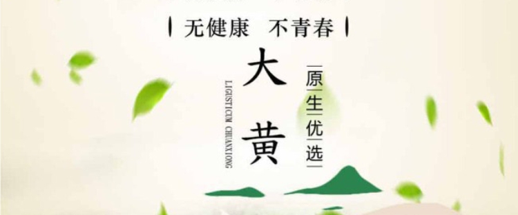 大黄片2.jpg