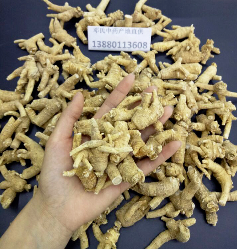 shandongxiyangshen7keyuancongal011.jpg