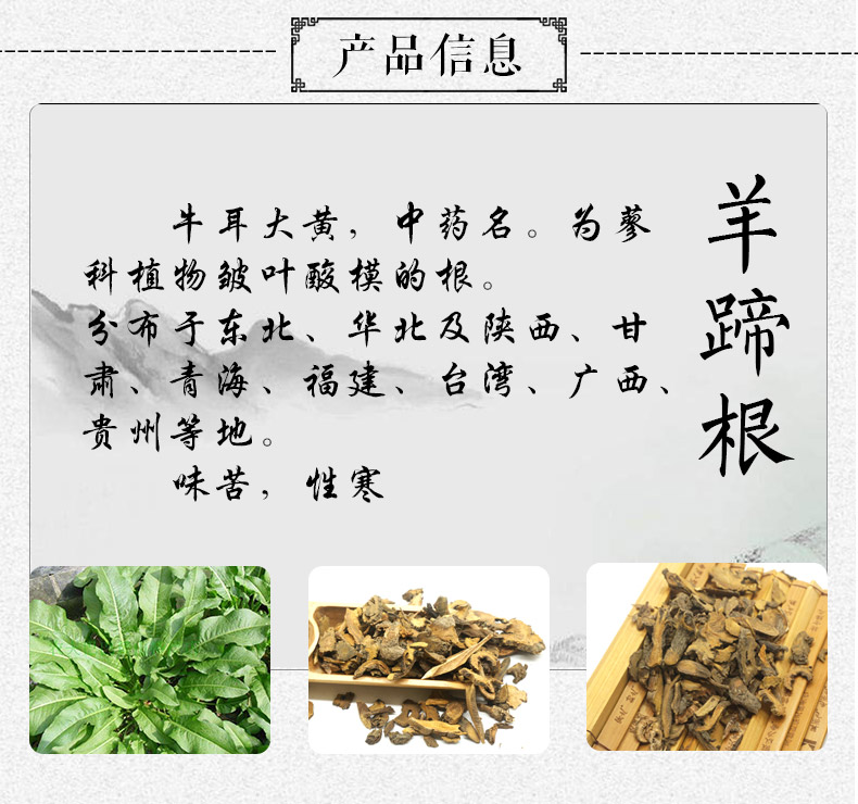 羊蹄根详情1_03.jpg