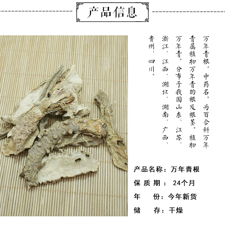 万年青根详情-2.jpg