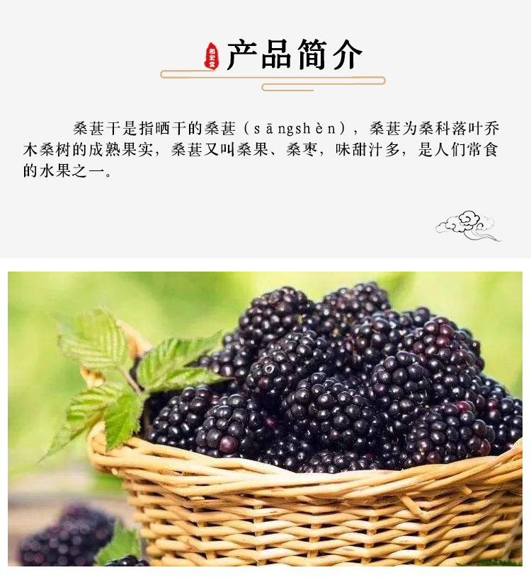 桑葚_07.jpg