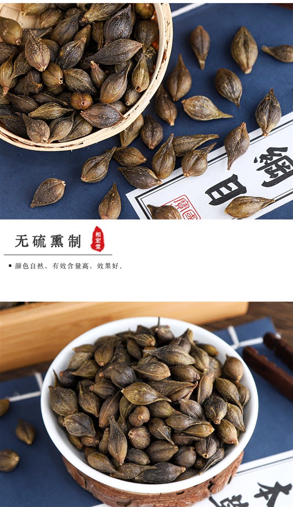 连翘_06.jpg