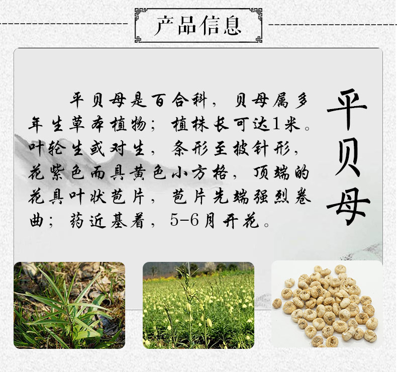 大平贝母详情_03.jpg