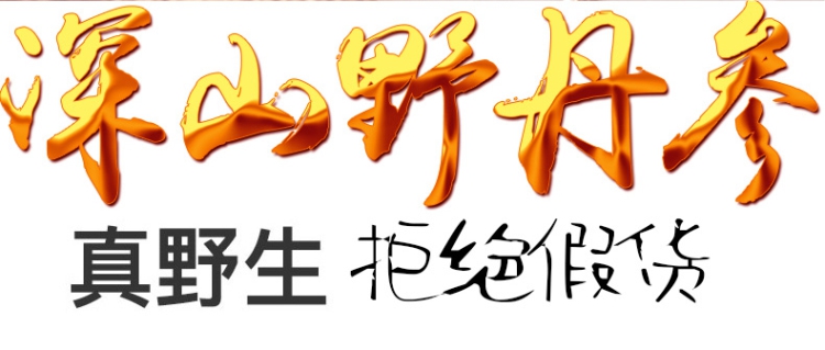 野生丹参1.jpg