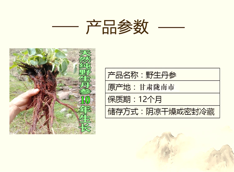 野生丹参3.jpg