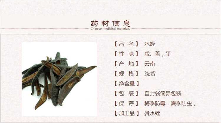 水蛭1_副本.jpg