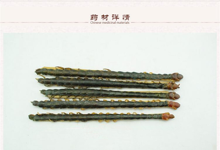 新蚣2.jpg