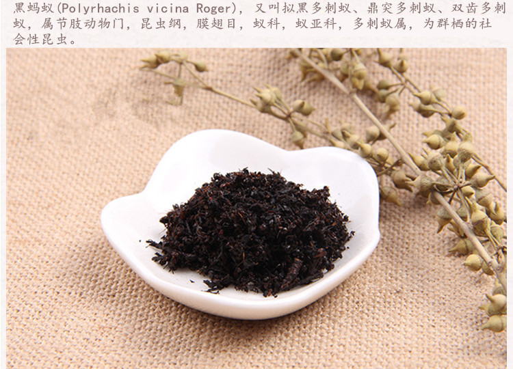 黑蚂蚁3.jpg